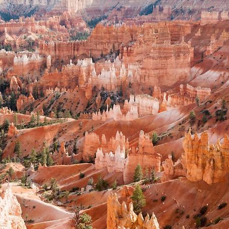 Summers Love Near Zion Np Washington Exteriör bild