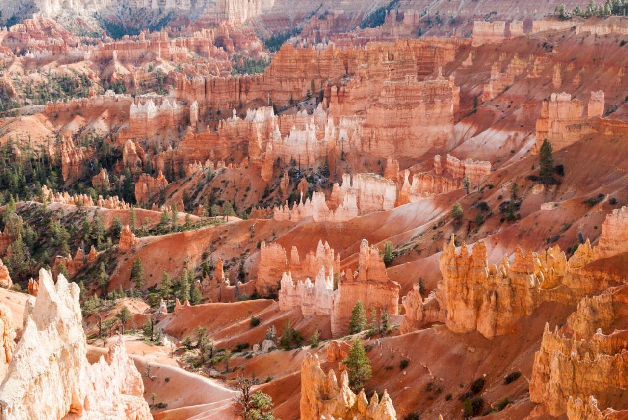 Summers Love Near Zion Np Washington Exteriör bild